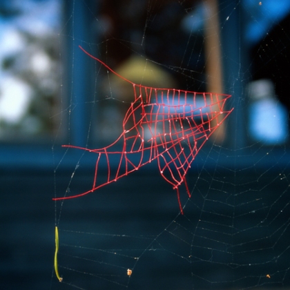 Mended-Spiderweb-8-Fish-P